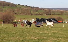 B&B La Ferme Du Chateau De Broich